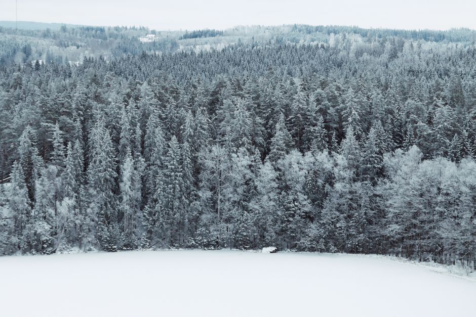 nature_07_19472479.jpg