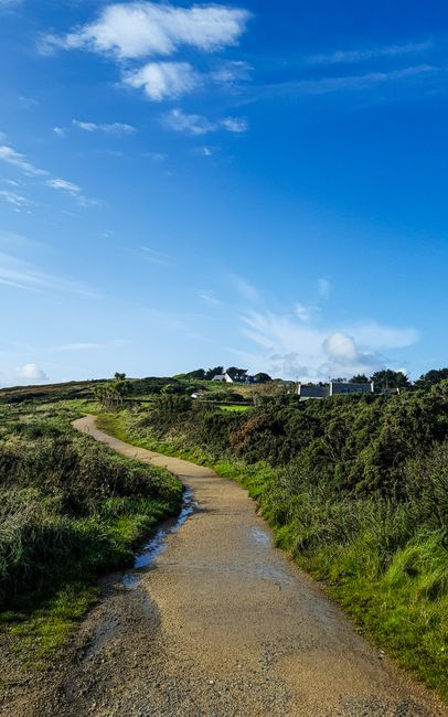 landscape_04_36840852.jpg