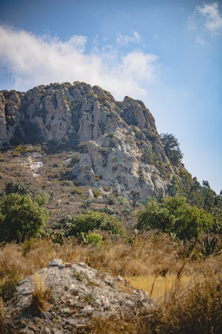 landscape_08_35757464.jpg