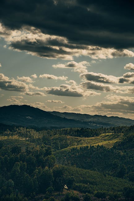 landscape_02_10020710.jpg