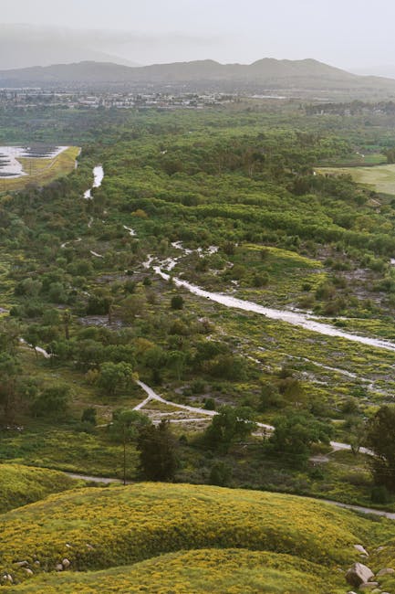 landscape_05_17506144.jpg