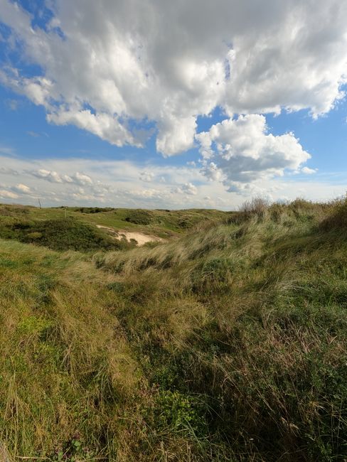 landscape_07_29214871.jpg