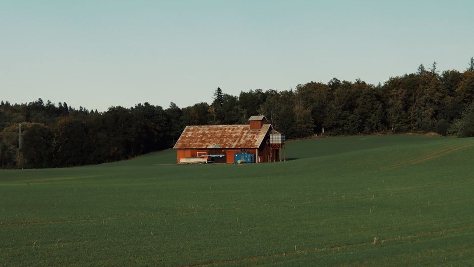 landscape_13_18686684.jpg