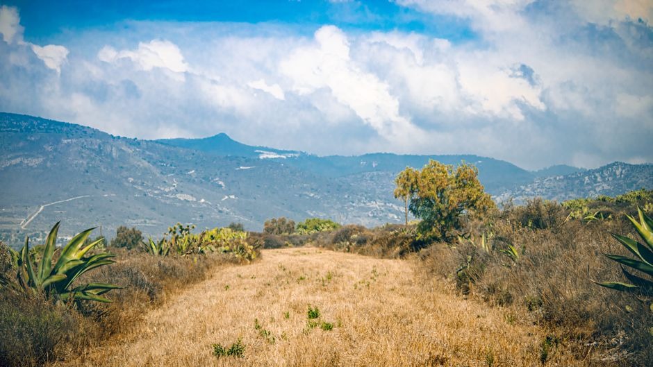 landscape_16_35757467.jpg