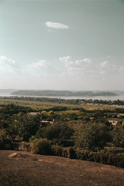 landscape_03_29202983.jpg