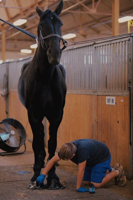 animals_18_19906588.jpg