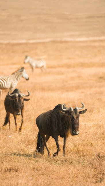 animals_07_33650529.jpg