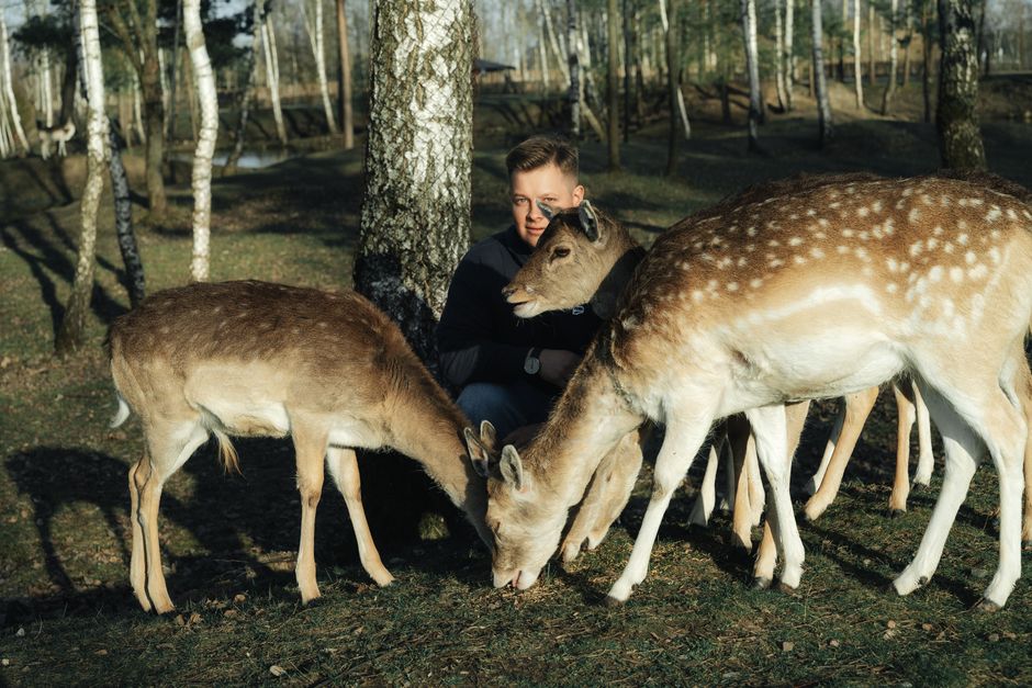 animals_12_20875493.jpg