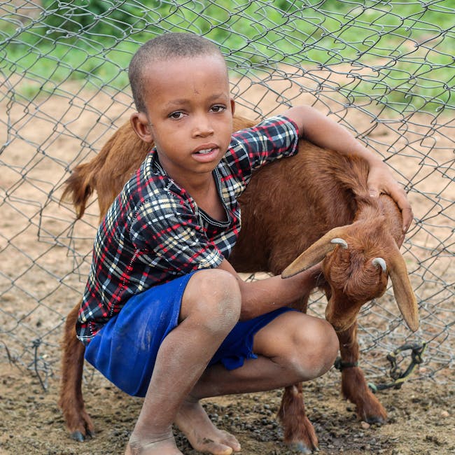 animals_09_17818290.jpg